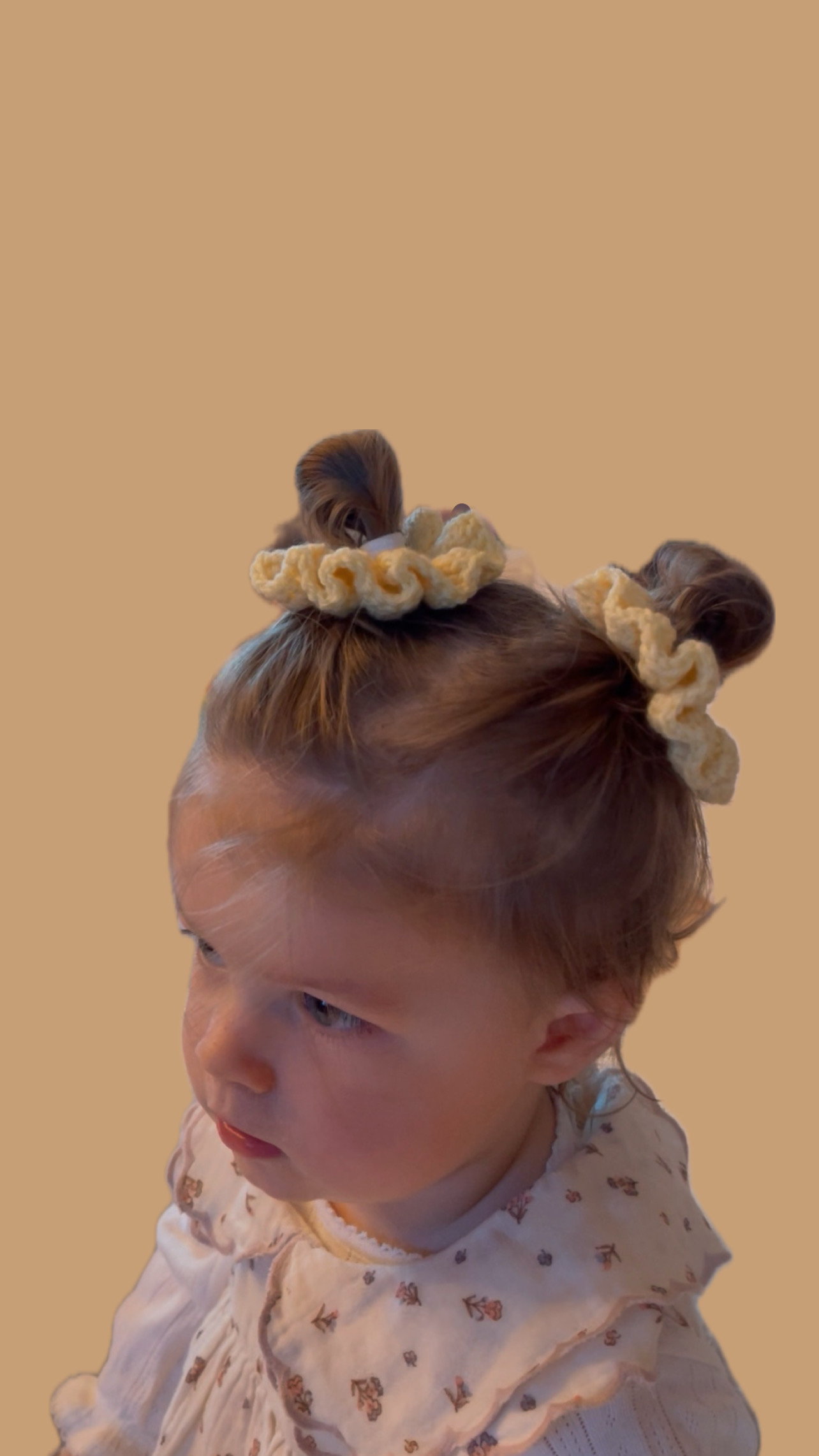 Sunny scrunchie barn